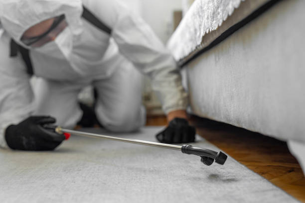 Professional Bed Bug Control technician working in Old Jamestown, MO